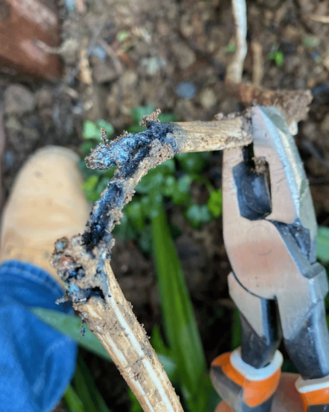 damaged_wire_fire_hazard